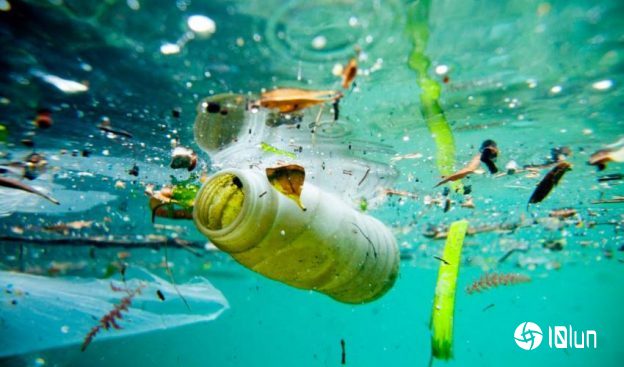 在"塑胶岛"上繁衍生息,太平洋垃圾带成沿海物种新家园