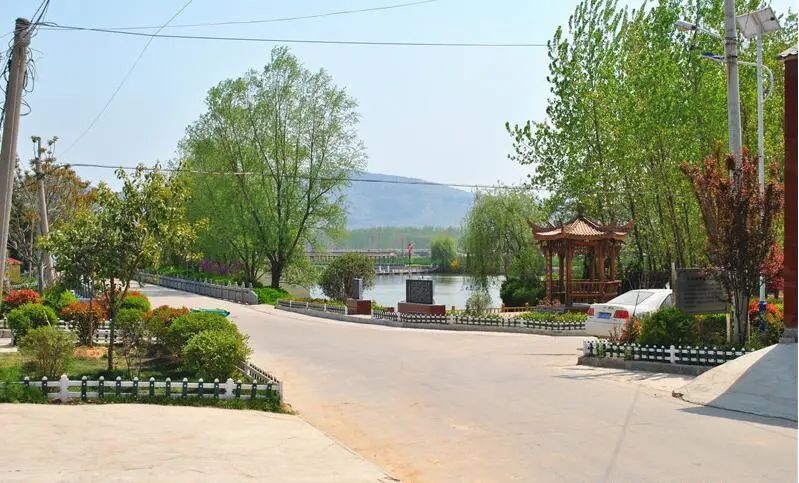 在萧县白土镇费村,感受"花园式"乡村的味道