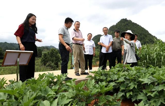 中国农科院与黔南州农科院就建设农业产业数字化平台系统达成初步合作