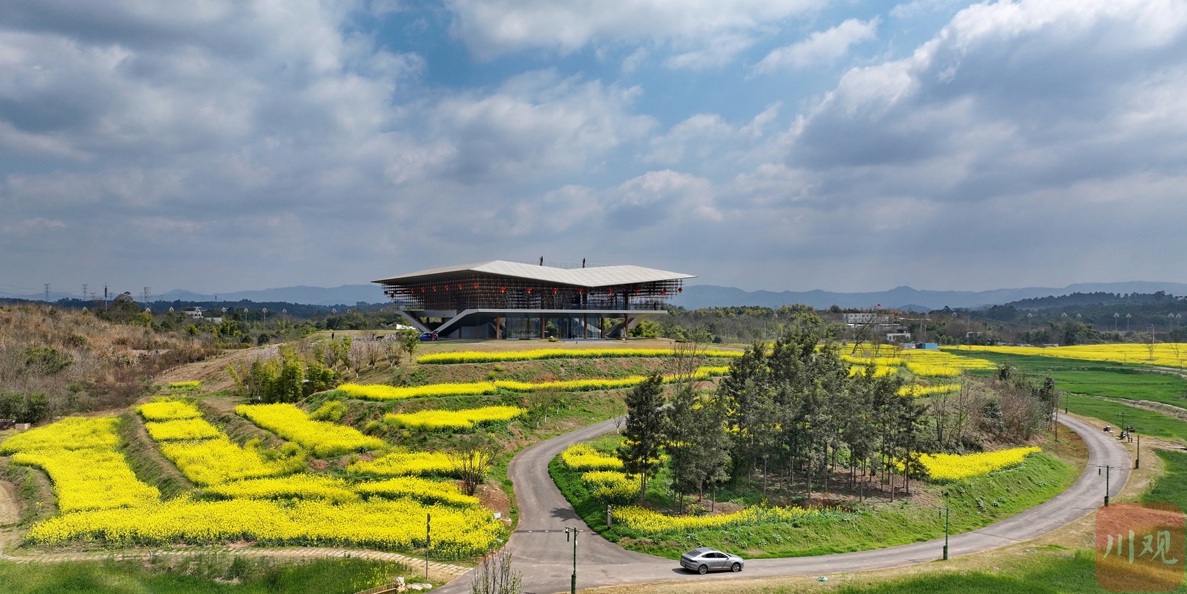 c视频丨成都:天府新区新地标大雁展翅春色美