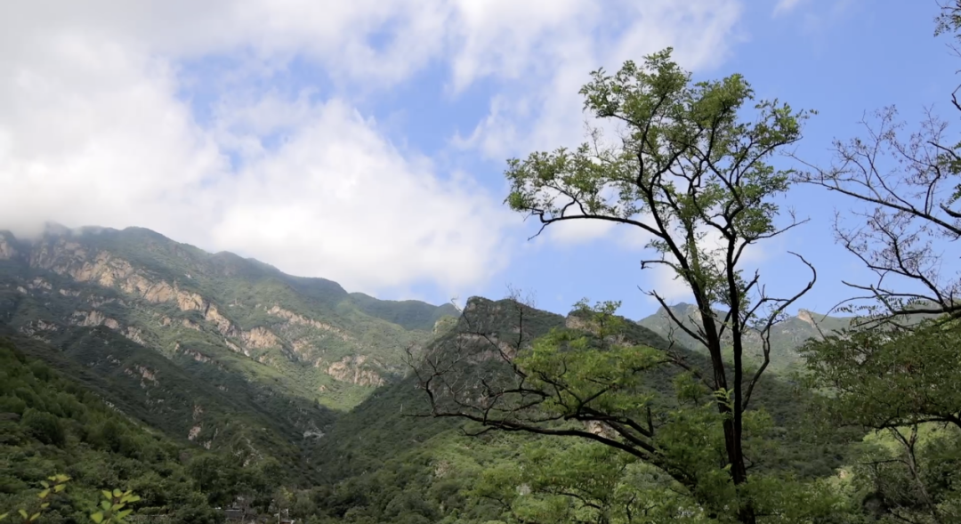 最美桃花源北京房山图片