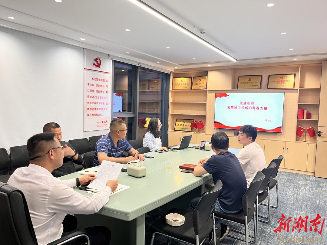 长沙大泽湖街道:主题党日"活"起来,基层支部"强"起来