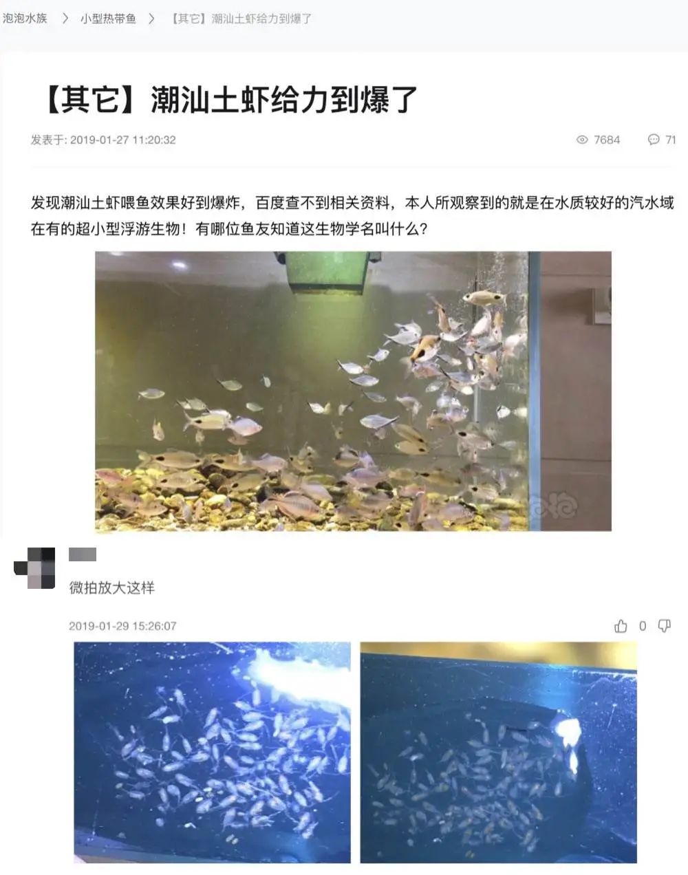 在潮汕吃土虾,不仔细看还以为是桶水泥?