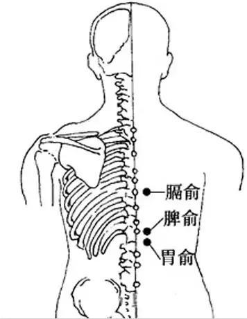 膈俞穴,又称止痒穴,调理血脉止痒,中医治疗身体瘙痒的要穴