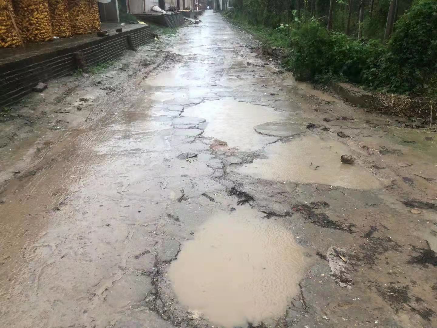 衡水滨湖新区西明师村:部分道路雨后积水难行 村民盼改善