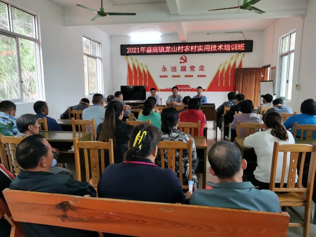 县底镇龙山村:党群同心勠力,成就村美民富