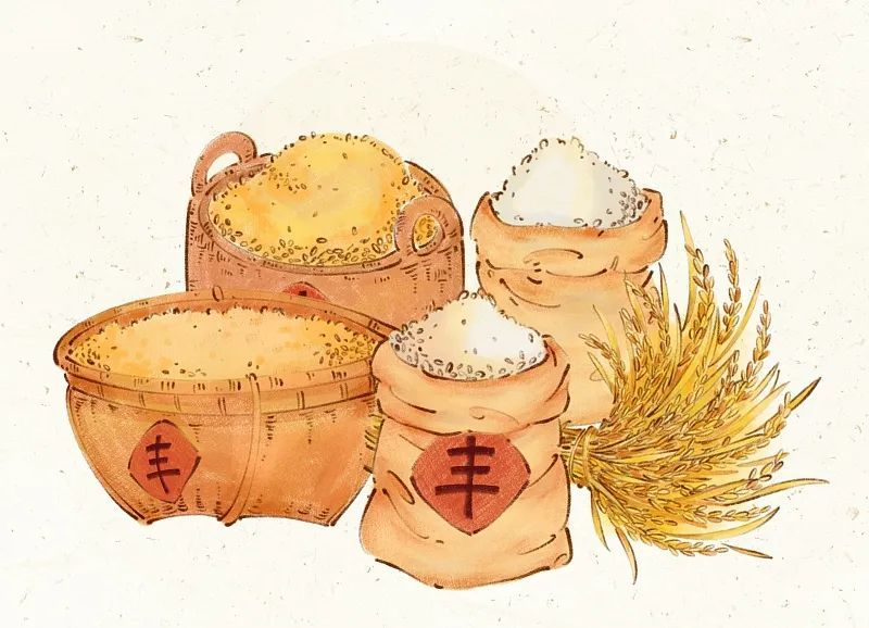 初八|今天米缸为什么不能空?