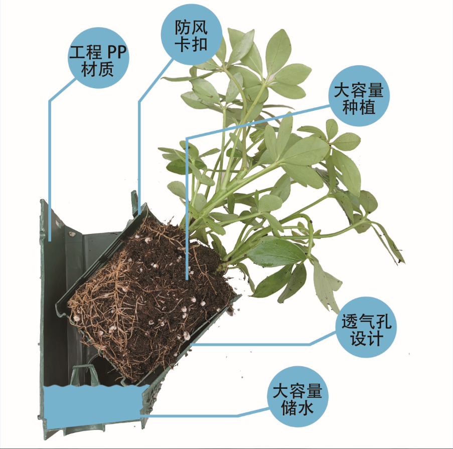 立体绿化种植盒