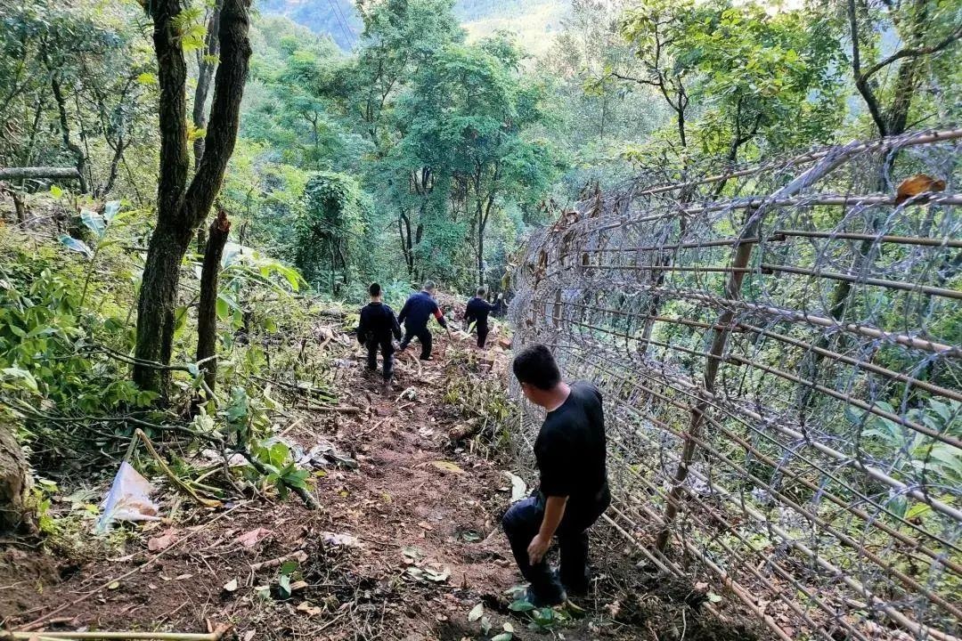 临沧边境管理支队开展巡边踏查筑牢边境疫情防控坚实防线