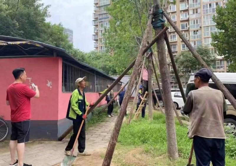 朝阳区小红门乡备足防汛物资应对强降雨