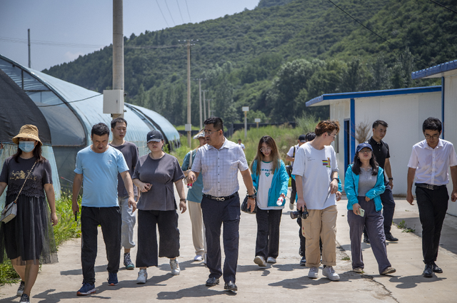 在希望的田野上丨銅川市耀州區廟灣鎮蔡河香菇基地:小香菇撐起