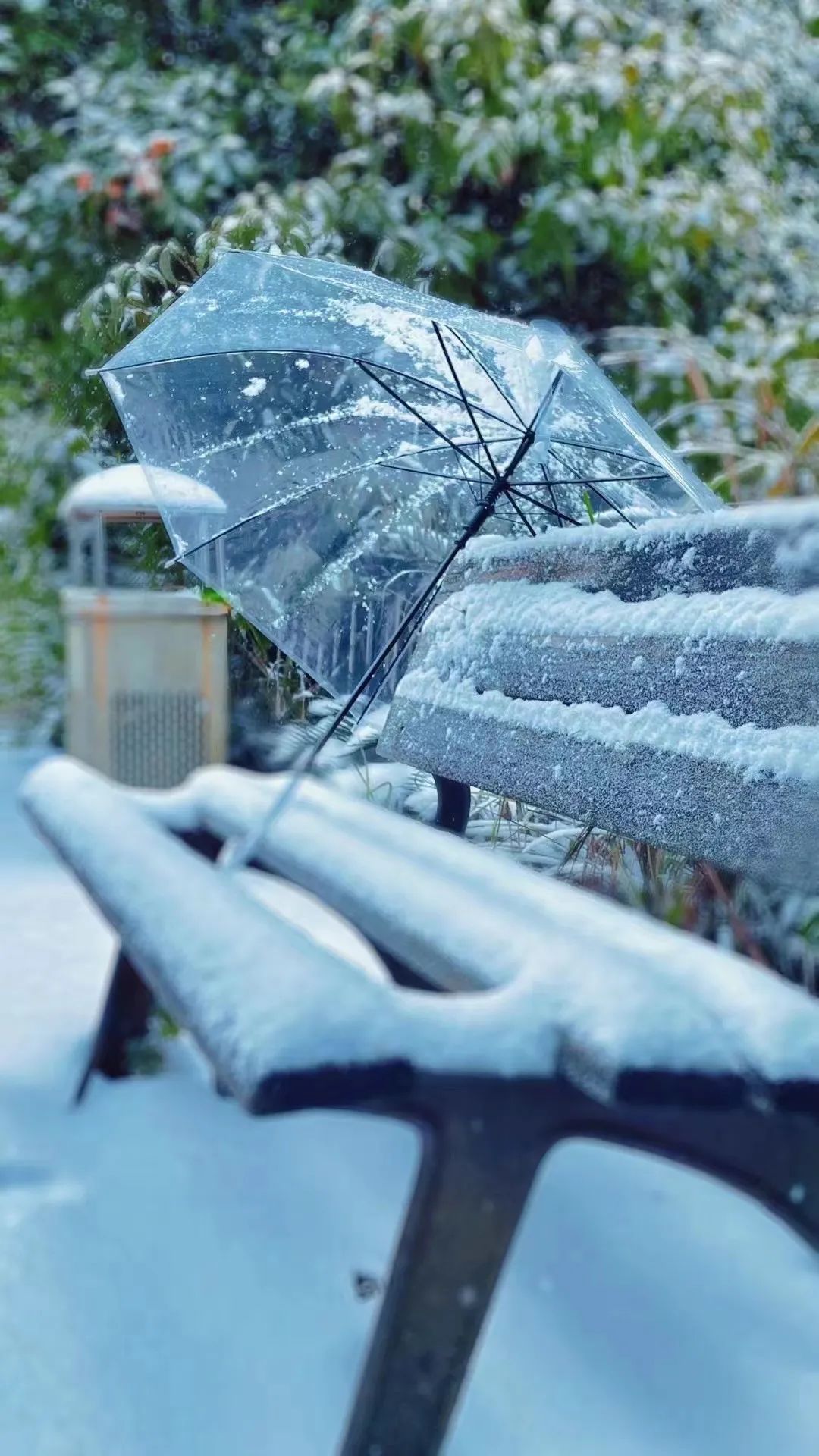 黔东南下雪啦~!一大波雪景实拍照片请查收