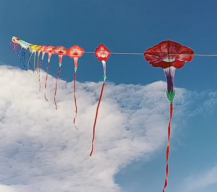 第39届潍坊国际风筝会"云上风筝赛"——《牵牛花风筝》