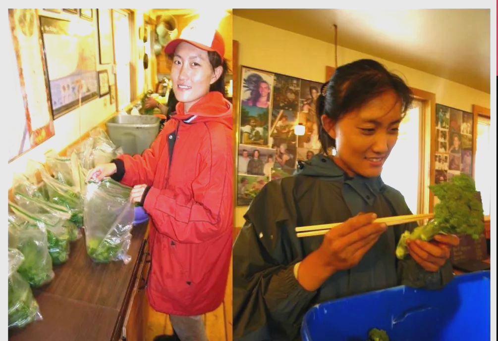 石嫣博士的有机农业革新之路:社区支持与生态实践