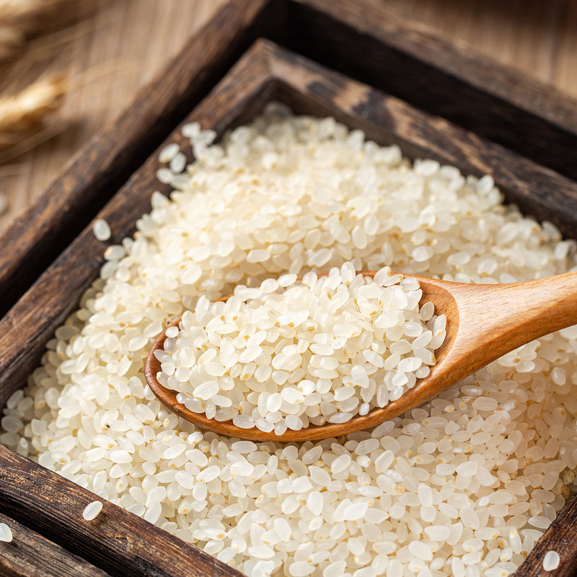 米中「劳斯莱斯」——越光米,颠覆你的味蕾