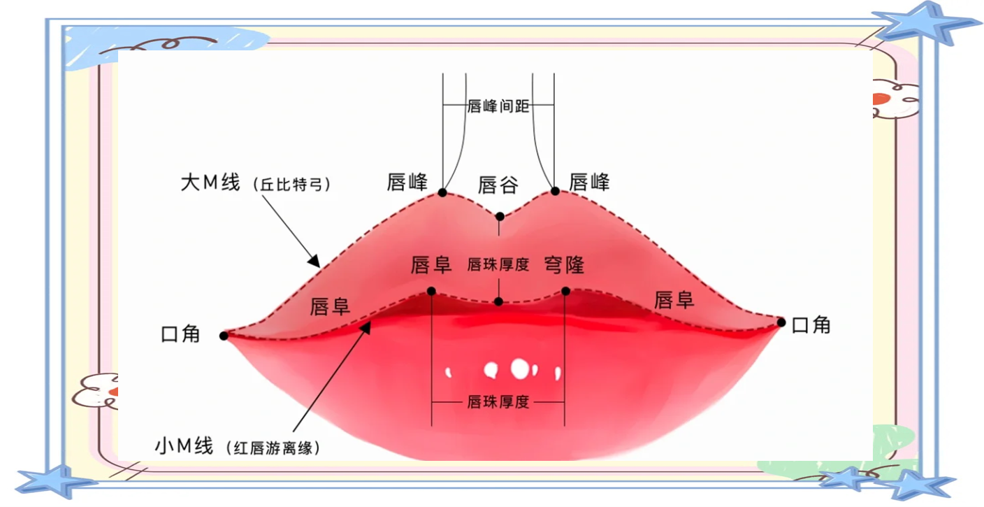 唇部美学全面解析:从丘比特弓到M唇,打造迷人唇形