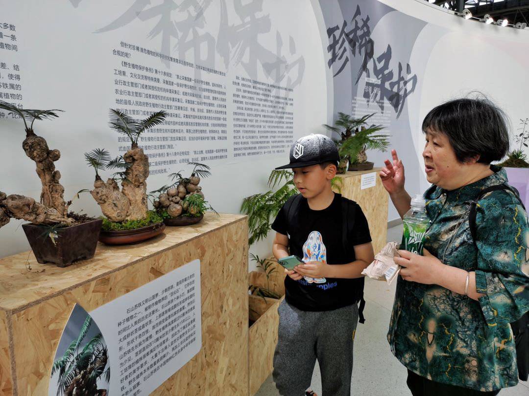 感受植物的力量 成都市植物园举办珍稀濒危植物科普展