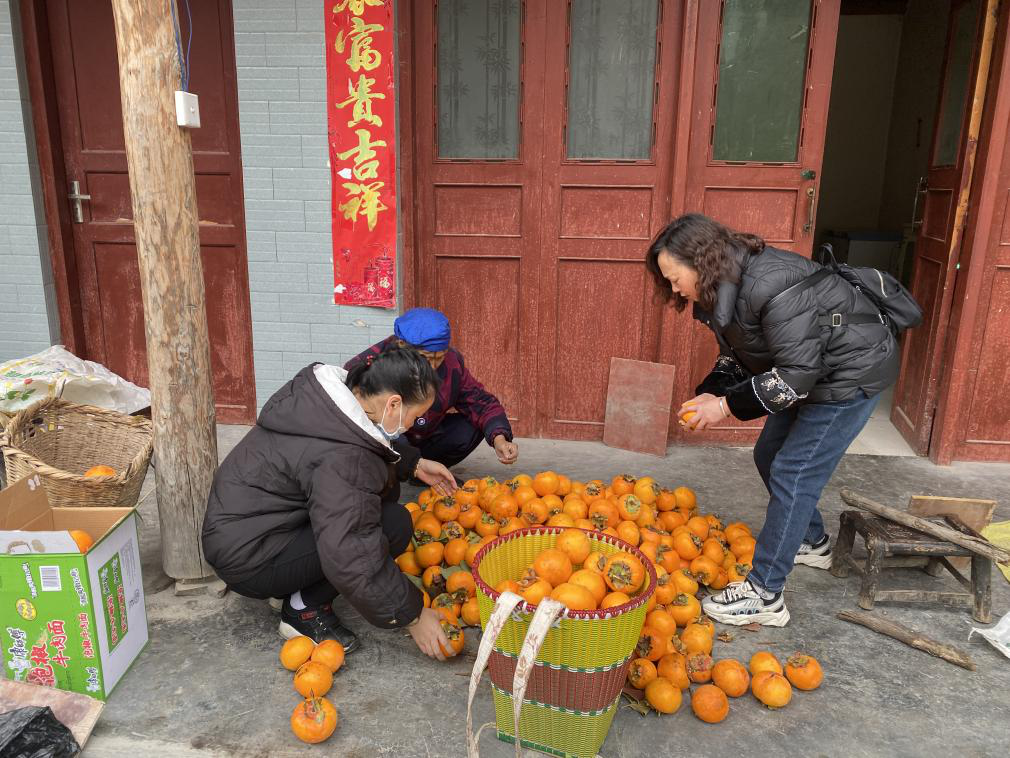 九寨沟县郭元乡图片