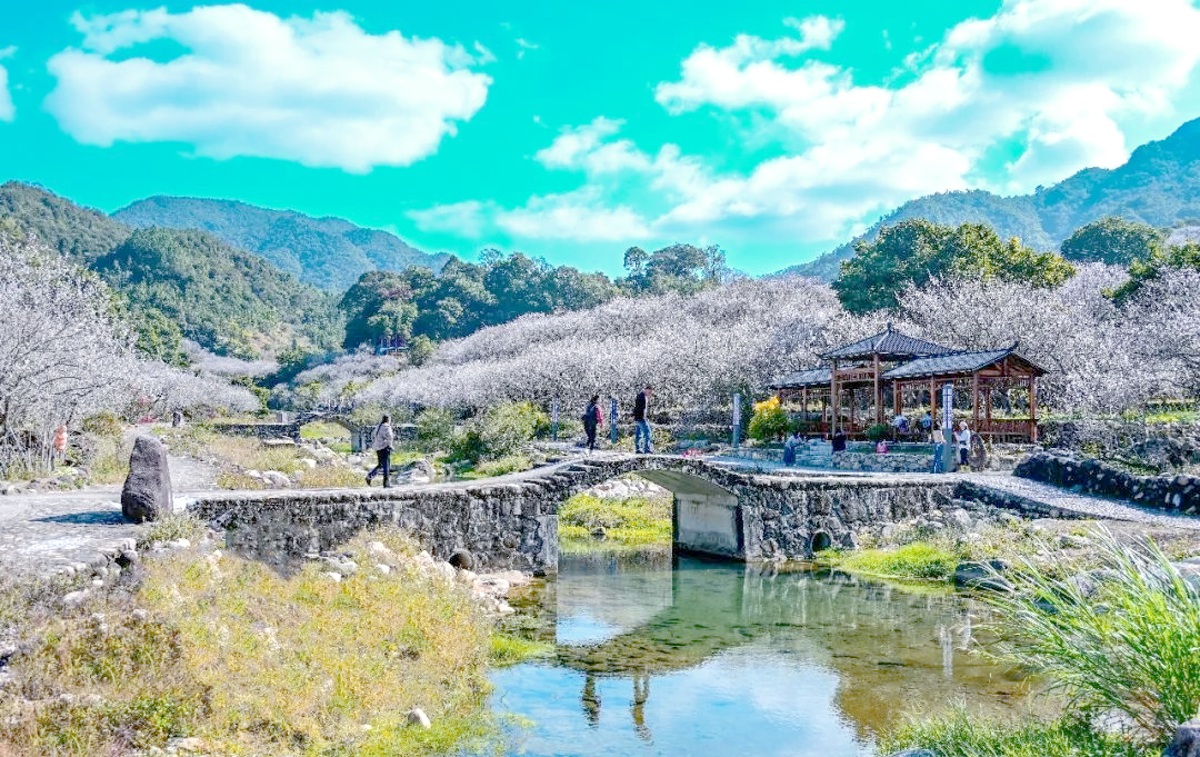 陆河世外梅园:探访自然美景与丰富体验的度假胜地