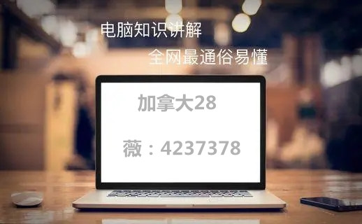 加拿大28怎麼玩勒