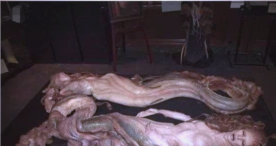 科学家揭秘美人鱼化石:与传说不同的凶狠面貌