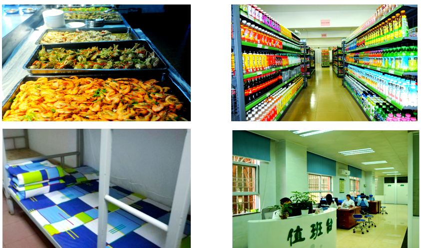 深圳松岗中学:设施完善与优异高考成绩解析