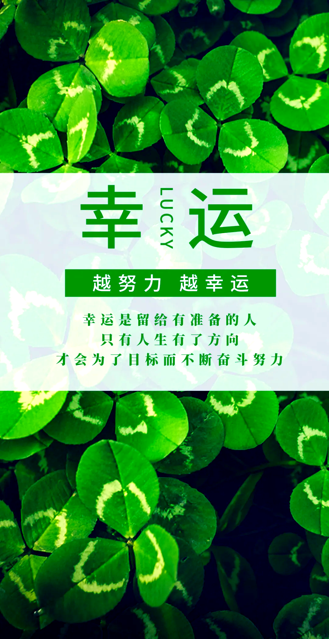 人生旅途:努力与坚持的力量