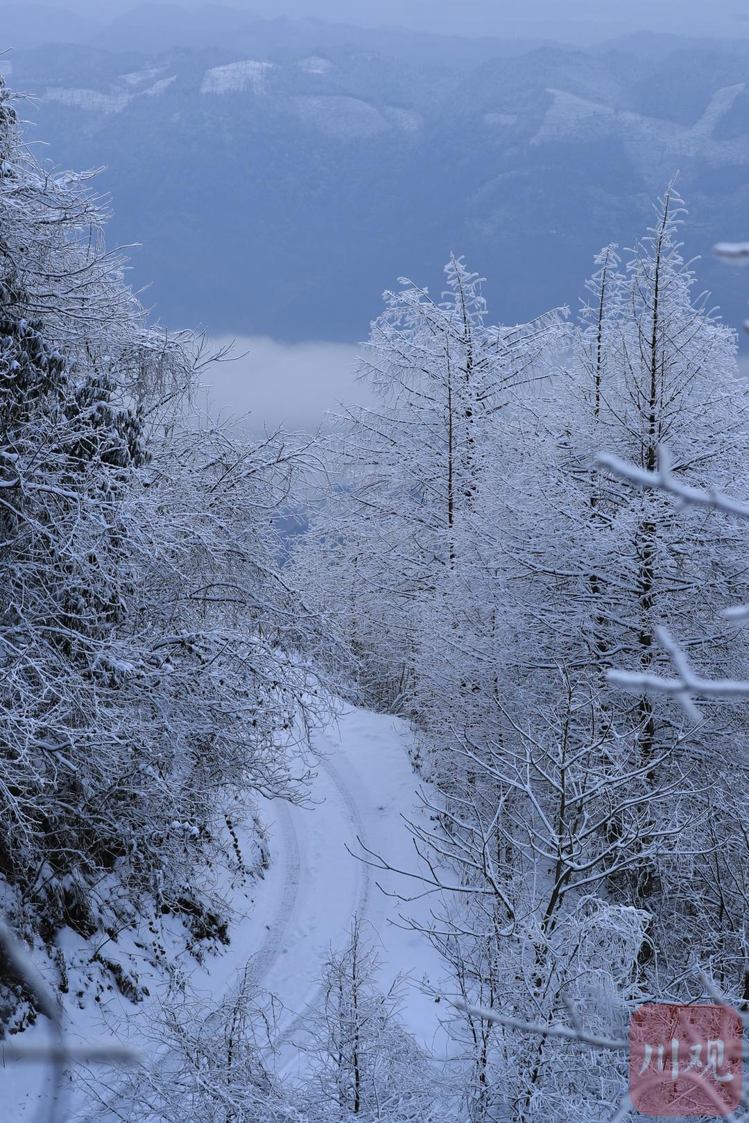 航拍丨雪岭漫步大邑唐王坝宛若白色童话世界