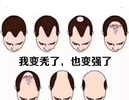 我秃了,我变强了