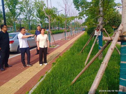 开封祥符区级林长杜君开展区级林长巡林工作