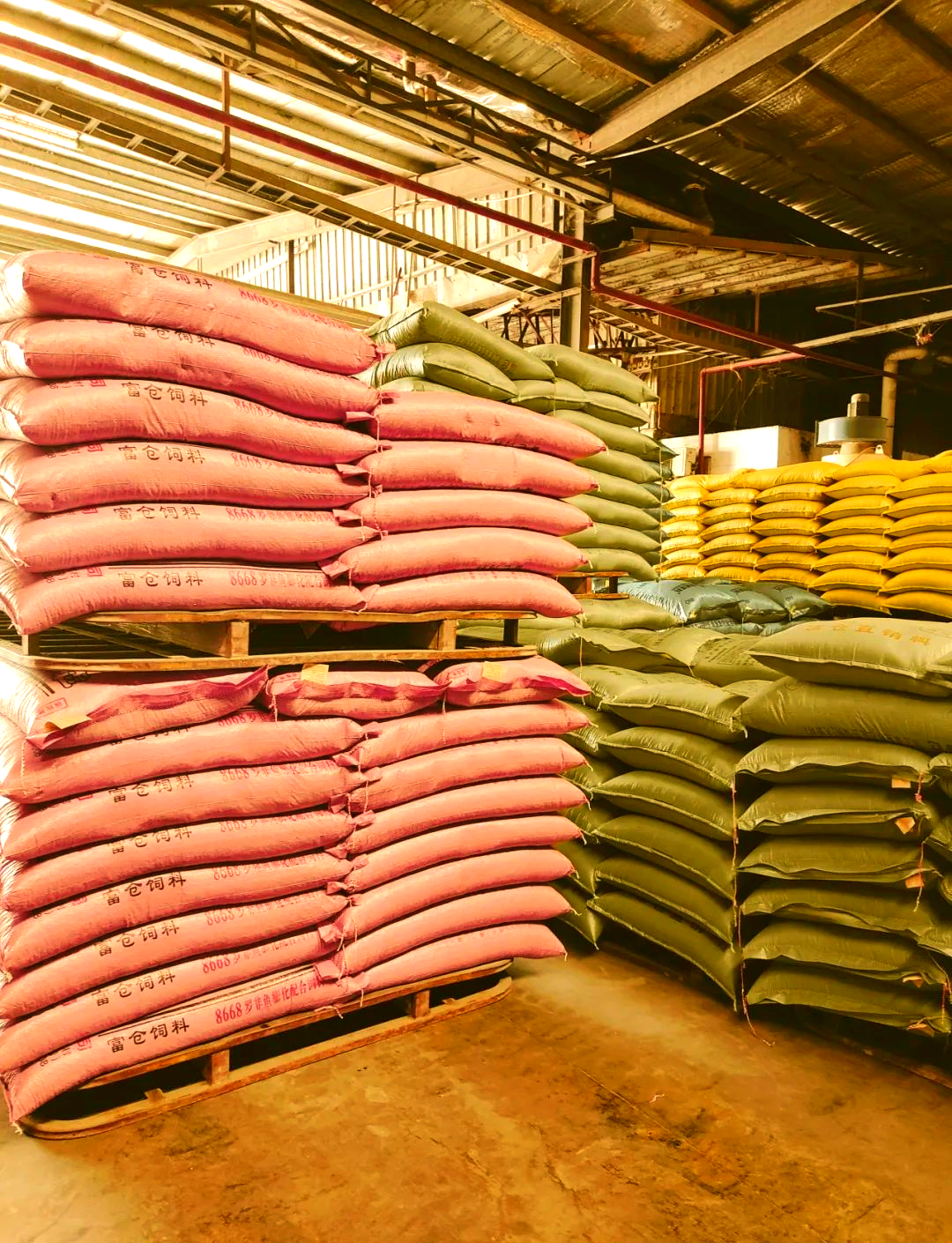 近日,我们跟随黄运平校友的脚步,深入惠州富仓饲料有限公司的生产基地