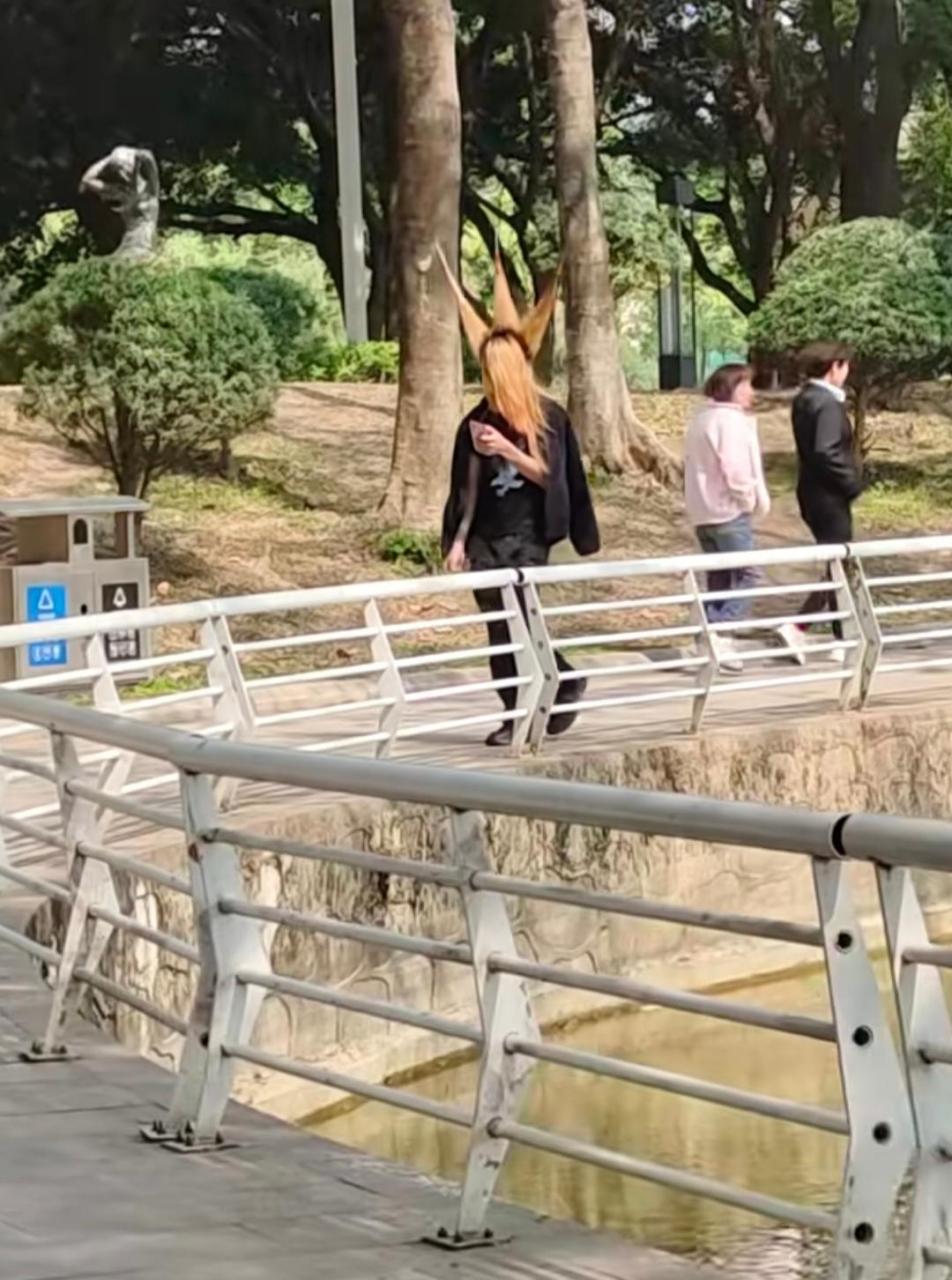 石排公园杀马特