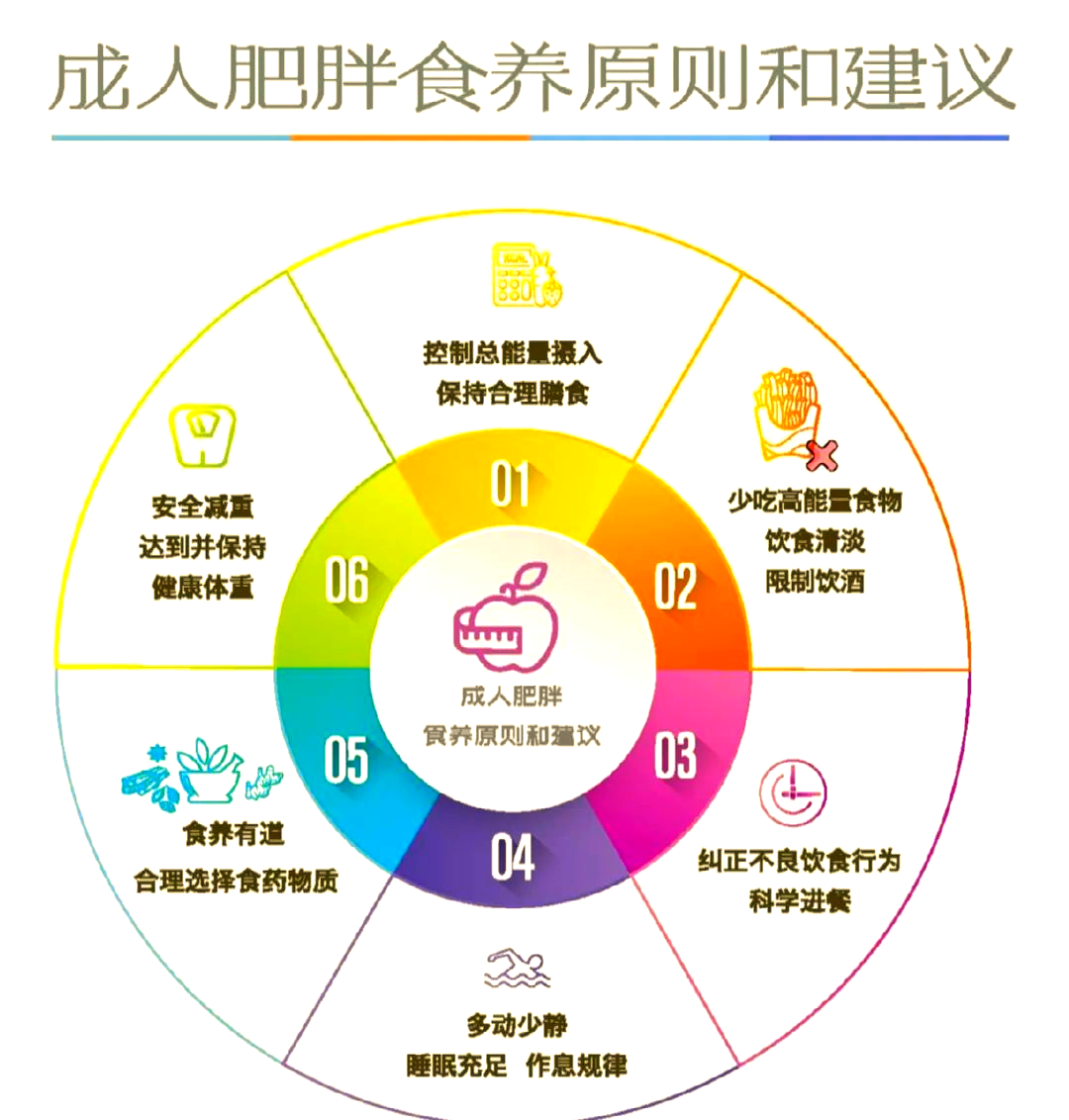 营养指导