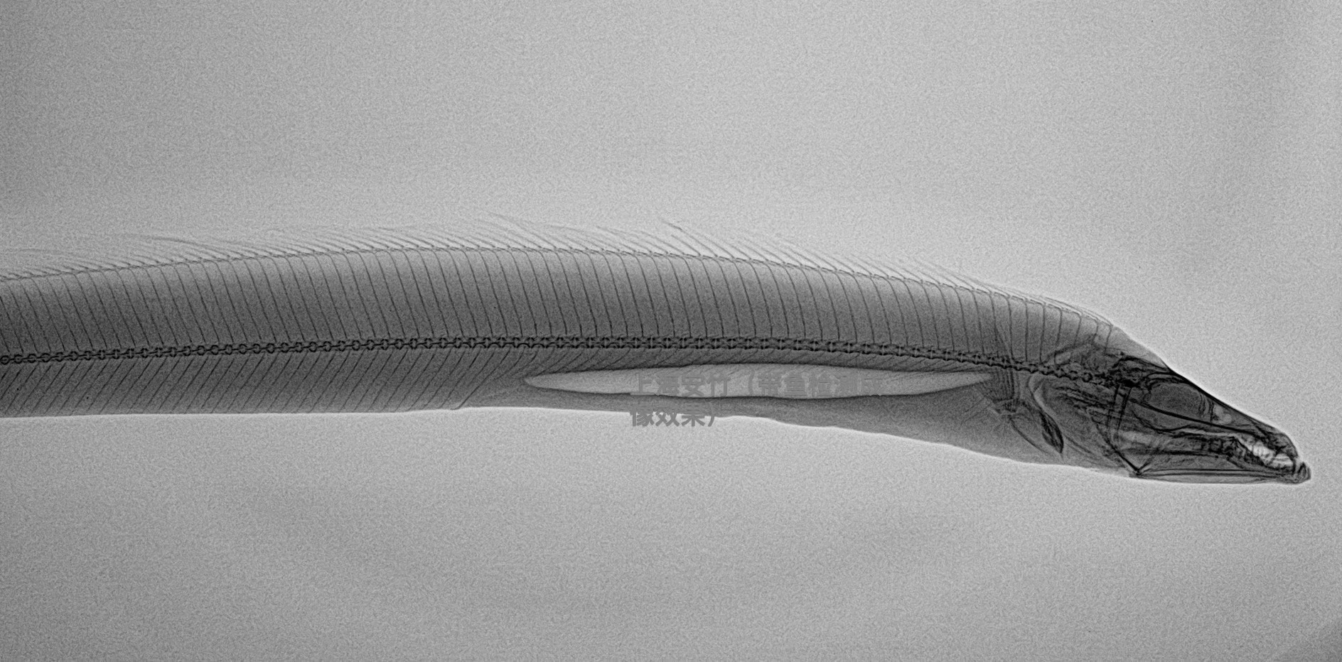 元器件虚焊-bga枕头效应-x光机异物检测 缺陷检测-空洞裂纹检测