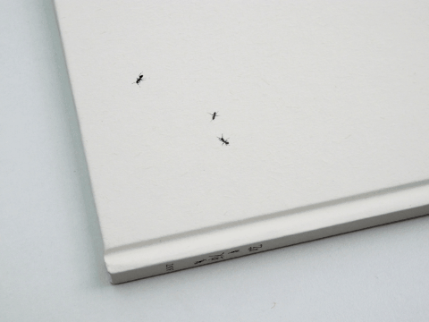 "发疯文学"鼻祖,非他莫属