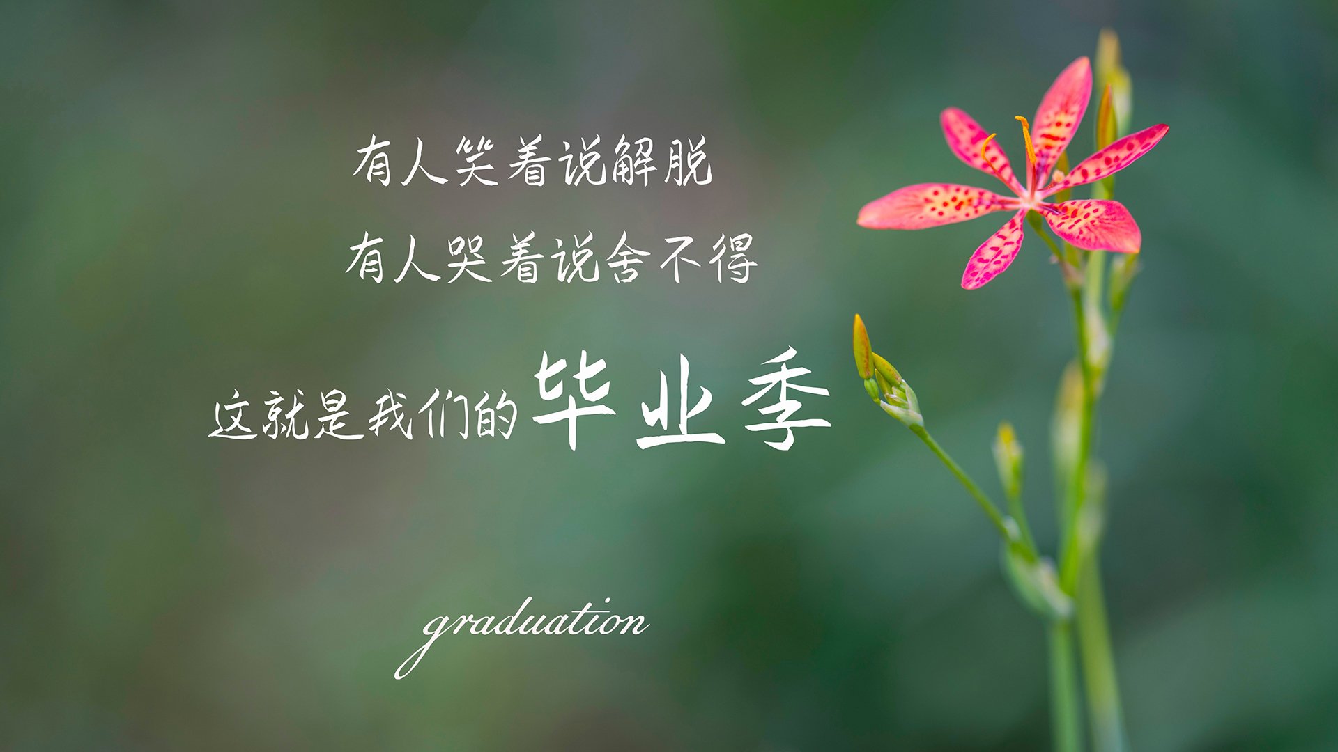 适合毕业季发的句子,句句深入人心,感慨万分,发朋友圈句句获赞