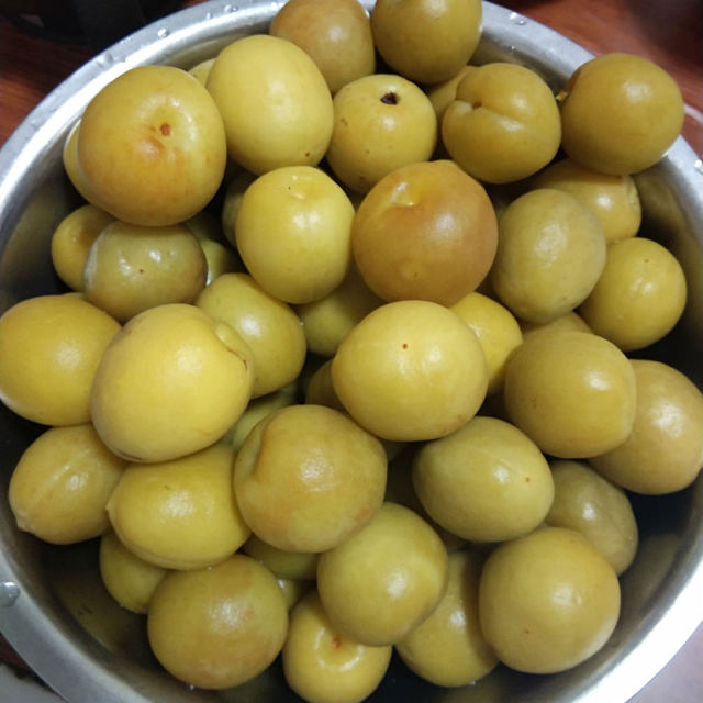 季节淹酸李子,酸爽过瘾,特色小吃