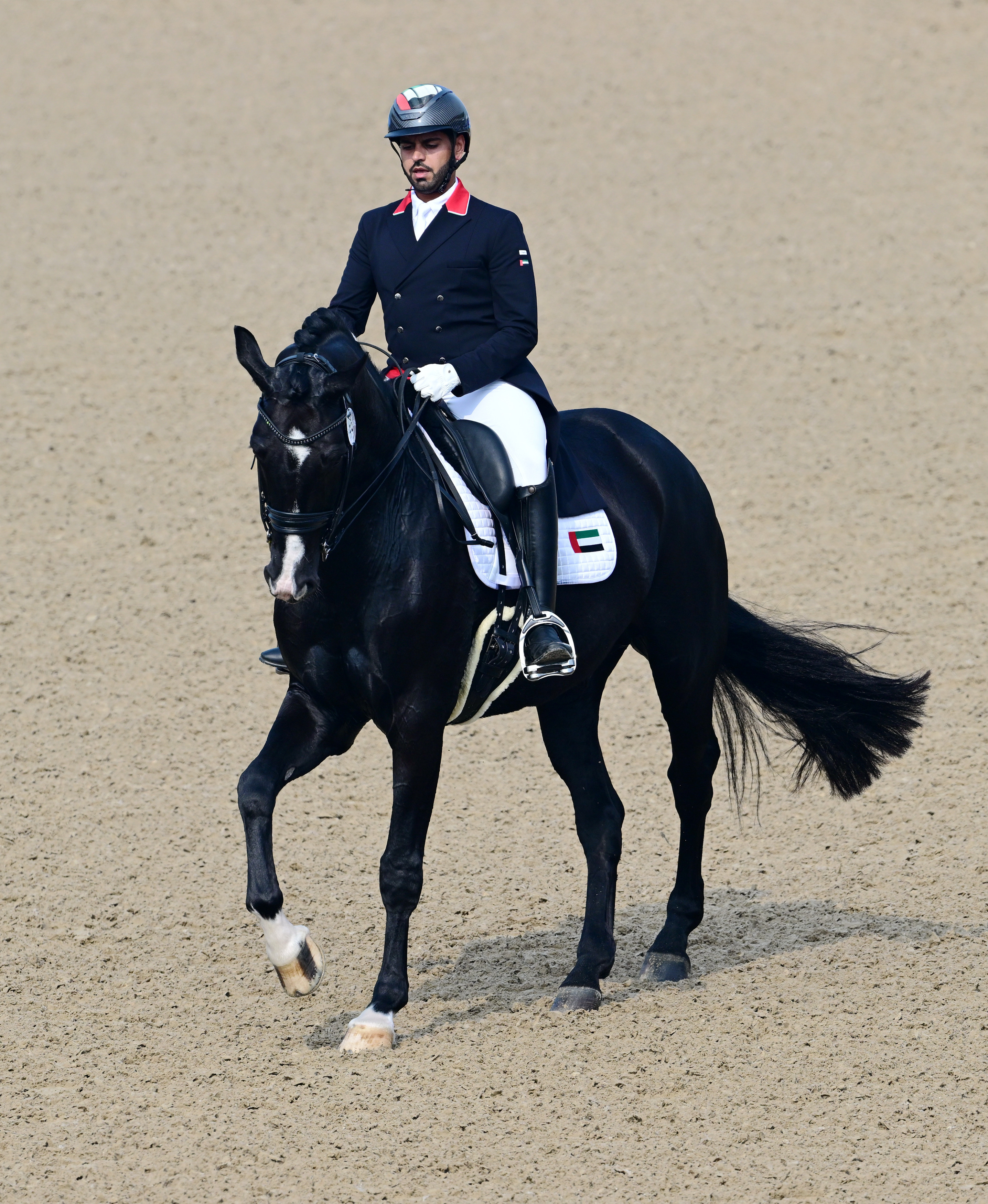马术——盛装舞步个人赛赛况(7)