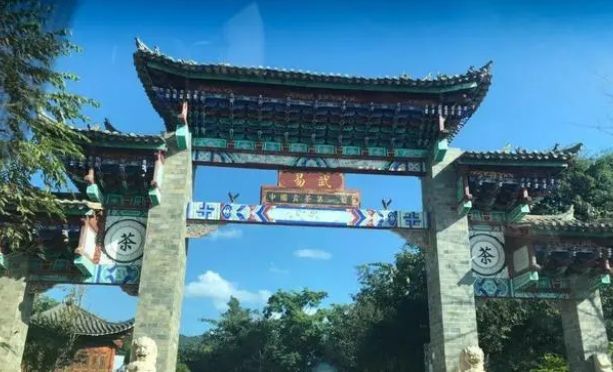 易武茶区有哪些山头?都有什么特点?