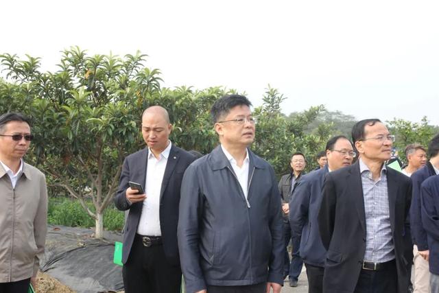 陈雄伟率队开展种质资源保护提案办理"回头看"活动