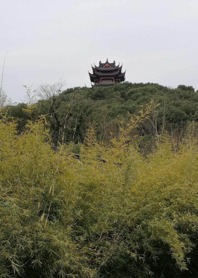 海宁西山公园|依山旁水风景宜人