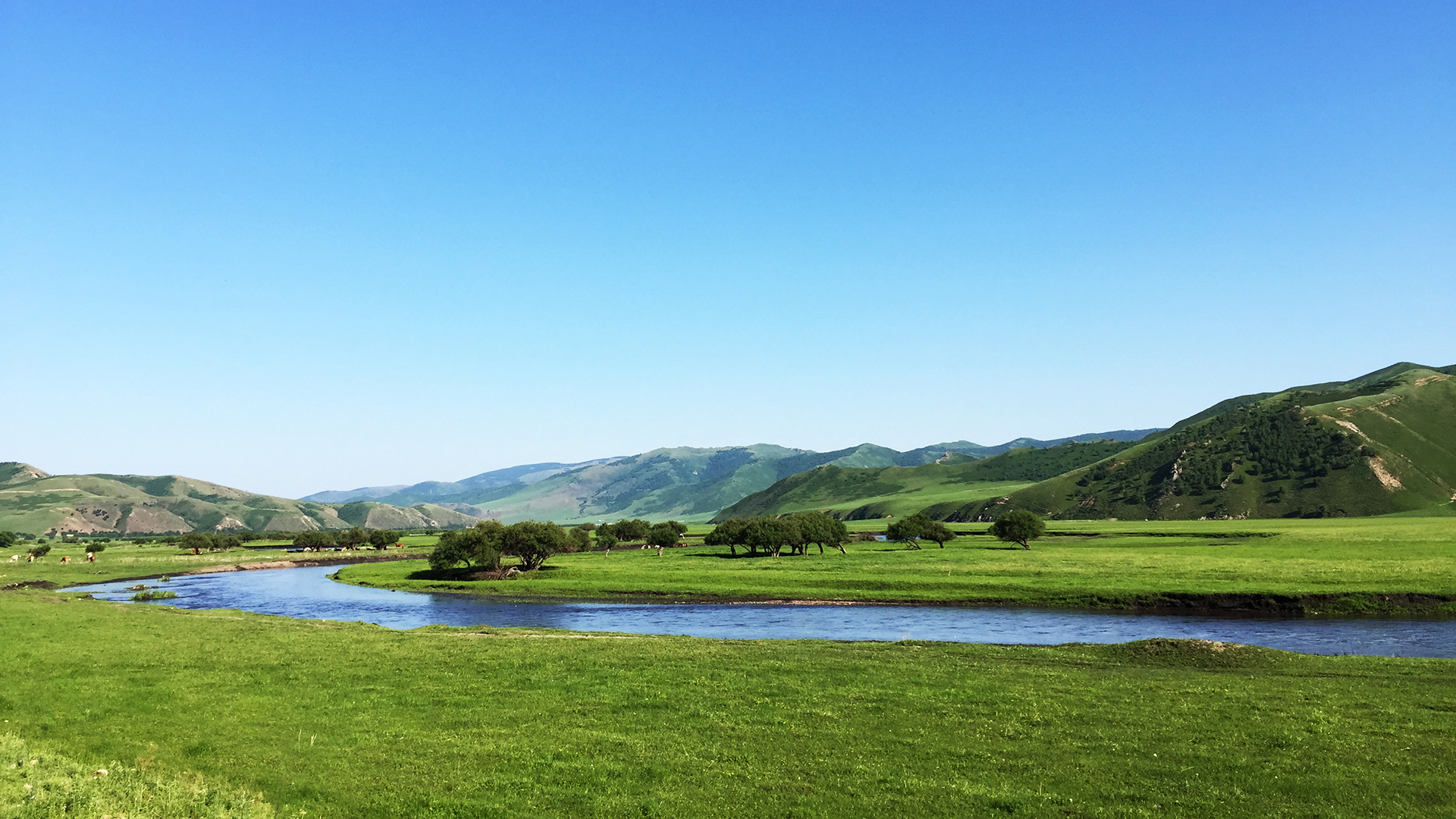 内蒙古第一大湖是什么湖,有一片草原因它而得名,且知名度非常高
