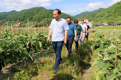 杨博理深入白毛坪,兰蓉督导脱贫攻坚和河长制工作