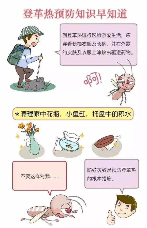 科普丨漫画图解登革热,让你不再被蚊子"叮!叮!叮!