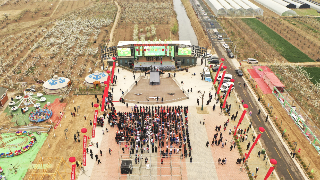 好客山东,乡村好时节,滨州阳信第三十二届梨花会开幕