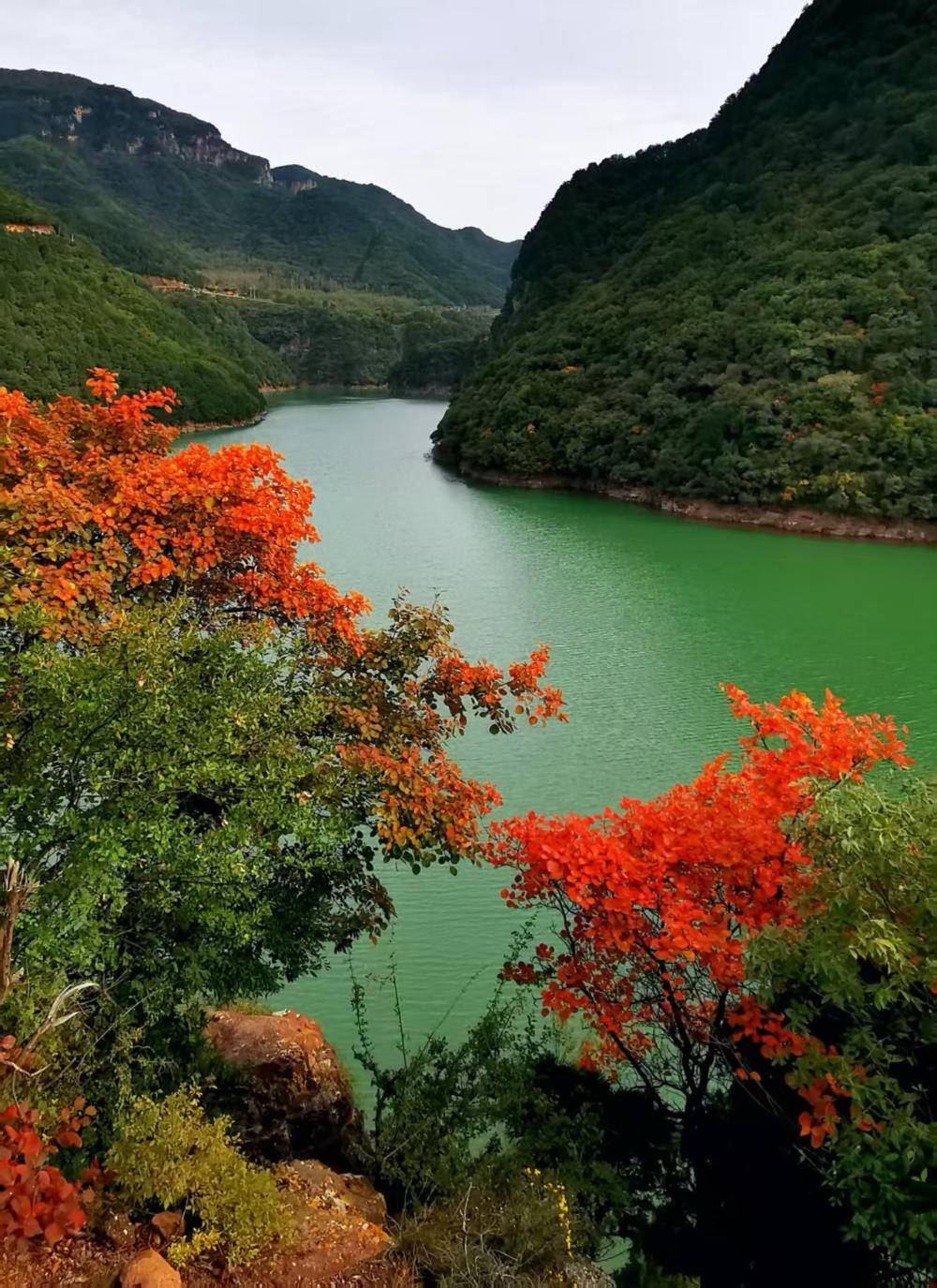 旅游天地|深秋里去绛县紫家峪西峪村赏红叶
