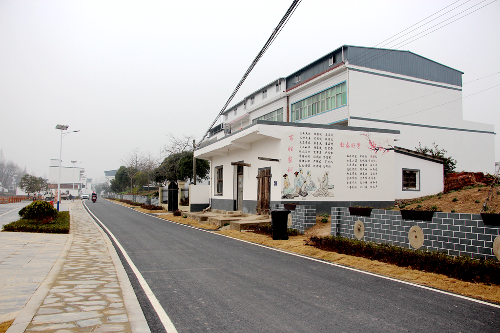 九江市彭泽县棉船镇复排村:创建"三好"党组织,推进乡村振兴