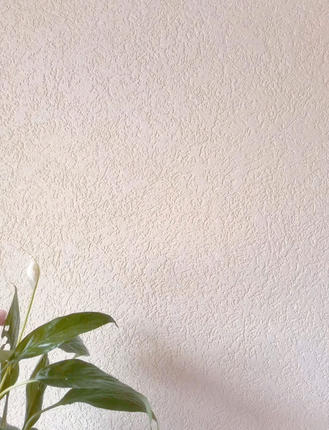 墙面材料知识全解析,助你轻松选出心仪之选