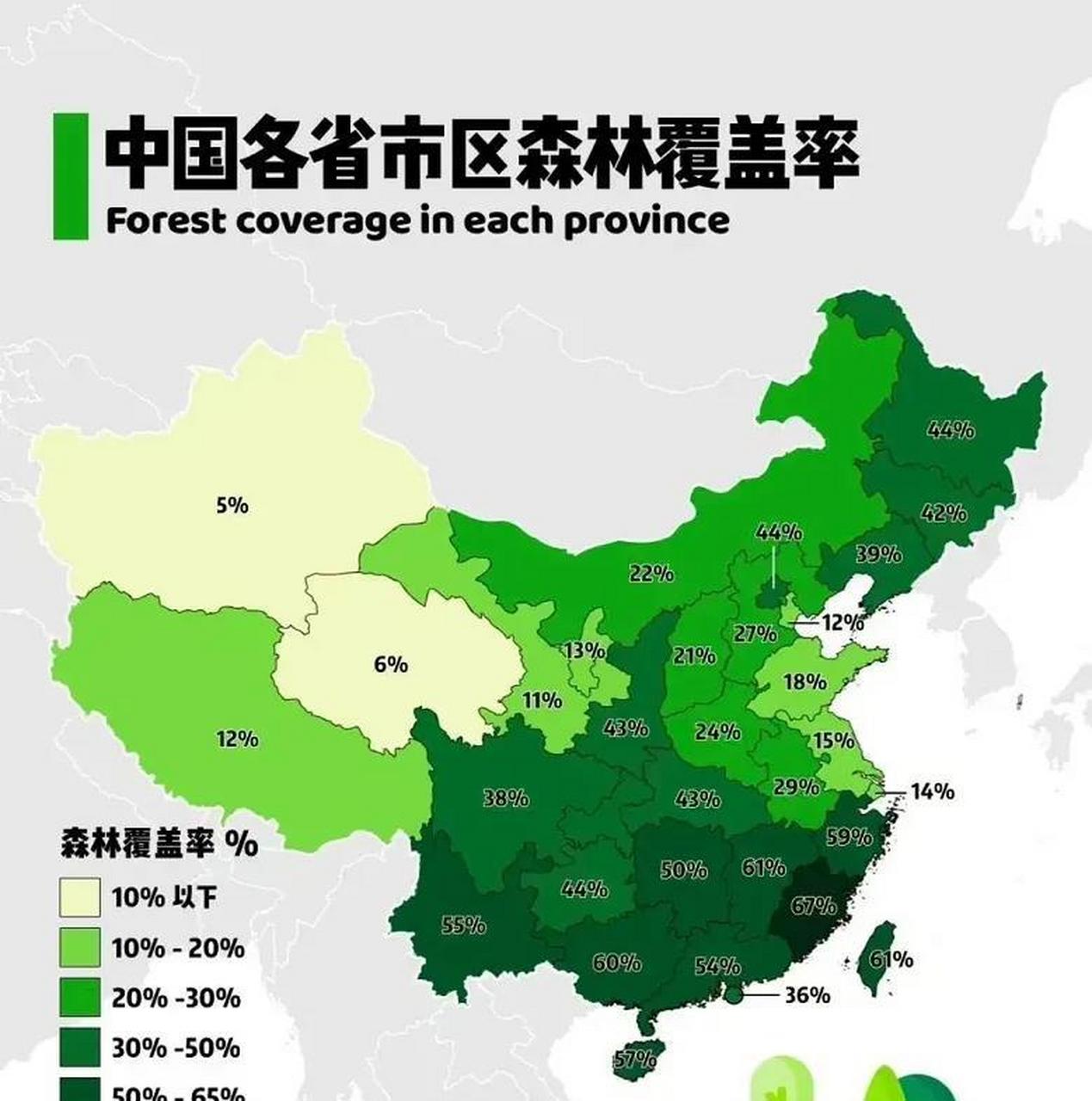 中国国家统计局数据显示,1998年中国全国森林覆盖率为13.