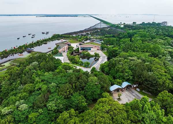 鄱湖湾景区图片图片